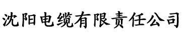 亚洲熟妇av一区二区三区在电缆厂logo